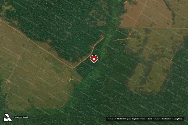 Imagem de satélite de Infração Ambiental em Lábrea - AM (marcador da localização)