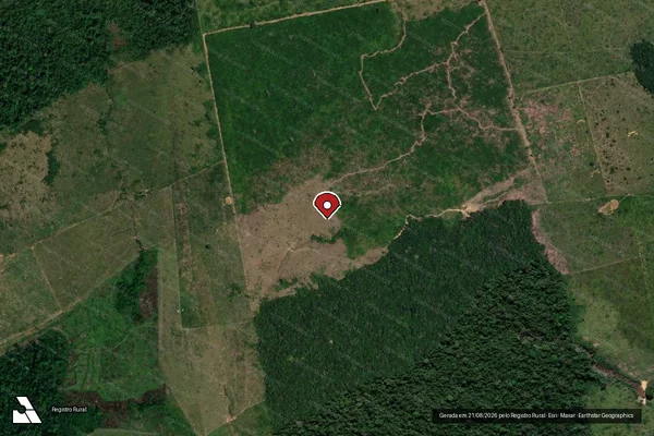 Imagem de satélite de Infração Ambiental em Manicoré - AM (marcador da localização)