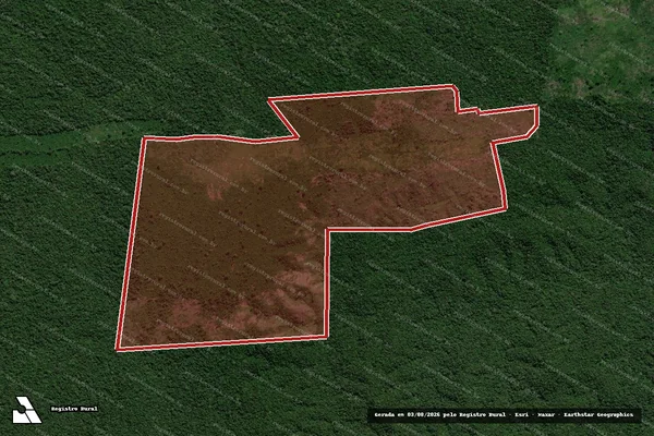 Imagem de satélite de Infração Ambiental em Apuí - AM