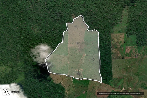 Imagem de satélite de Infração da Flora em Senador José Porfírio - PA