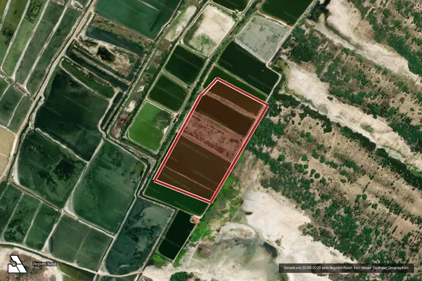 Imagem de satélite de Infração Ambiental em Icapuí - CE