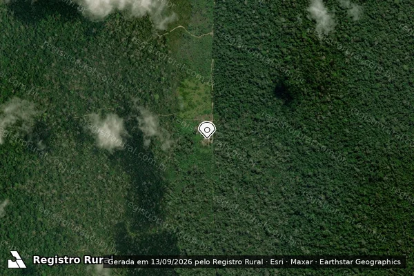 Imagem de satélite de Infração da Flora em Prainha - PA (marcador da localização)