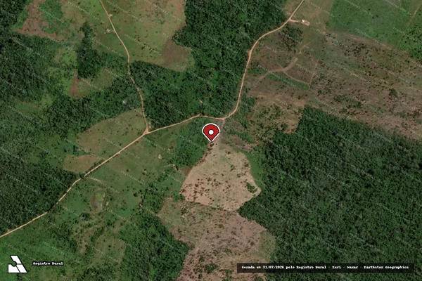 Imagem de satélite de Infração Ambiental em São Félix do Xingu - PA (marcador da localização)