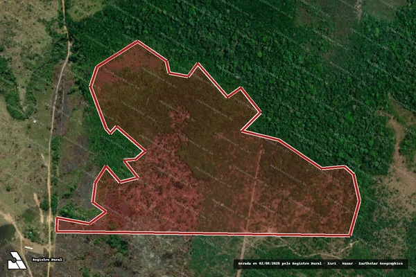 Imagem de satélite de Infração Ambiental em Apuí - AM