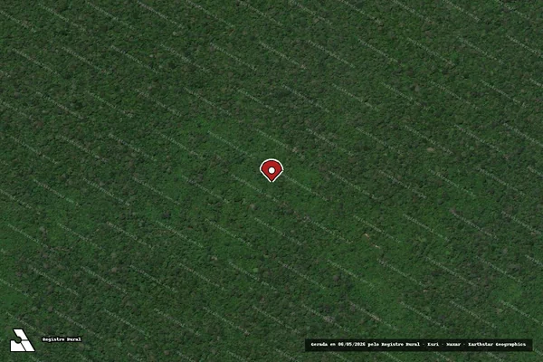Imagem de satélite de Infração Ambiental em São João da Baliza - RR (marcador da localização)
