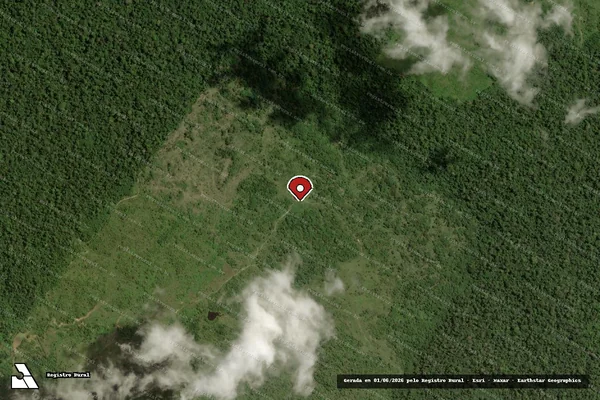 Imagem de satélite de Infração Ambiental em Centro Novo do Maranhão - MA (marcador da localização)