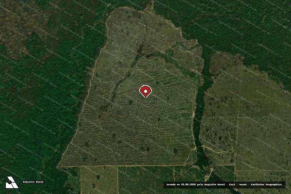 Imagem de satélite — Embargo IBAMA — Infração da Flora - Porto Velho/RO