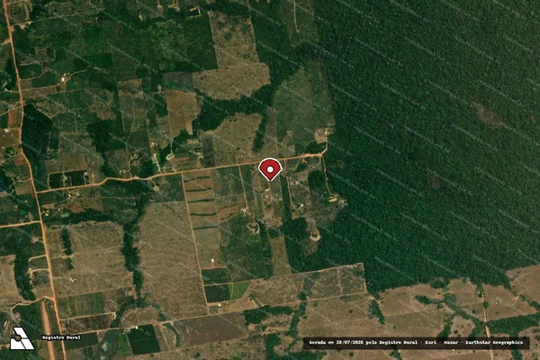 Imagem de satélite de Infração da Flora em Nova Monte Verde - MT (marcador da localização)