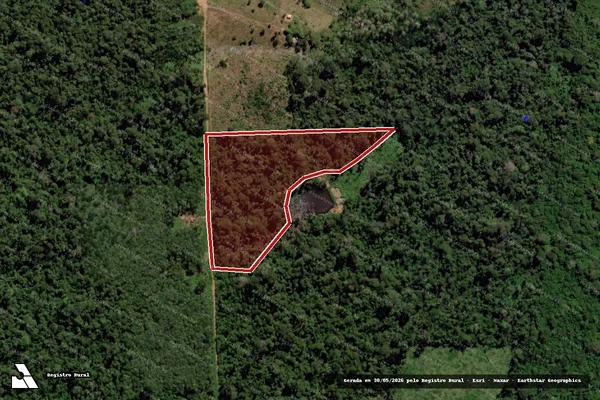 Imagem de satélite de Infração da Flora em São Félix do Xingu - PA