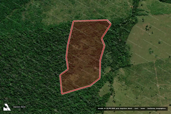 Imagem de satélite de Infração da Flora em Apuí - AM