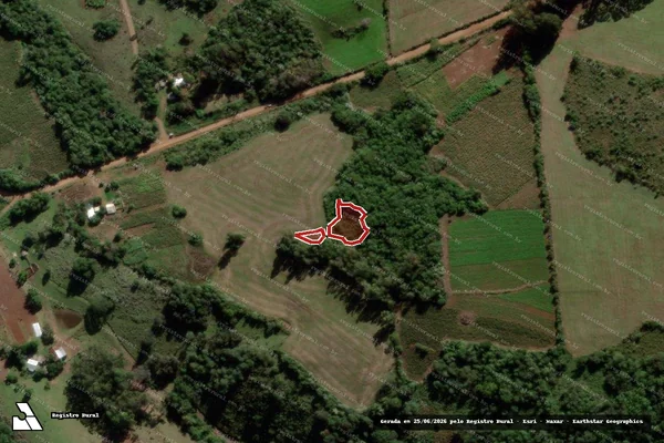 Imagem de satélite de Infração da Flora em Jari - RS