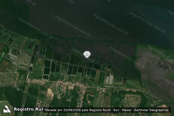 Imagem de satélite de Infração Ambiental em Nísia Floresta - RN (marcador da localização)