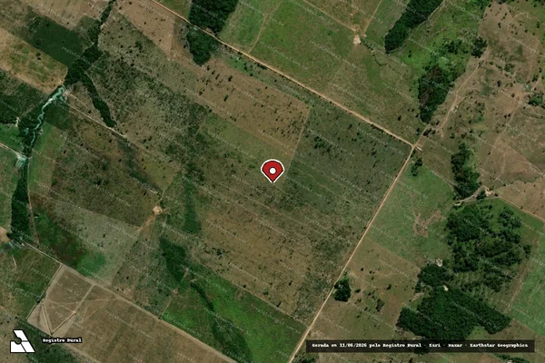 Imagem de satélite de Infração da Flora em Peixoto de Azevedo - MT (marcador da localização)