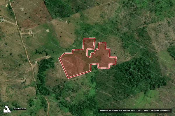 Imagem de satélite de Infração da Flora em Pacajá - PA