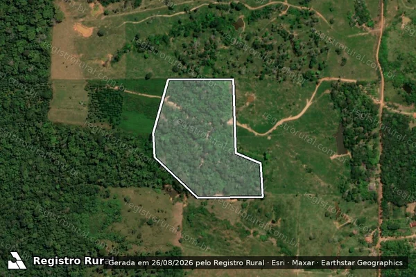 Imagem de satélite de Infração da Flora em Porto Velho - RO