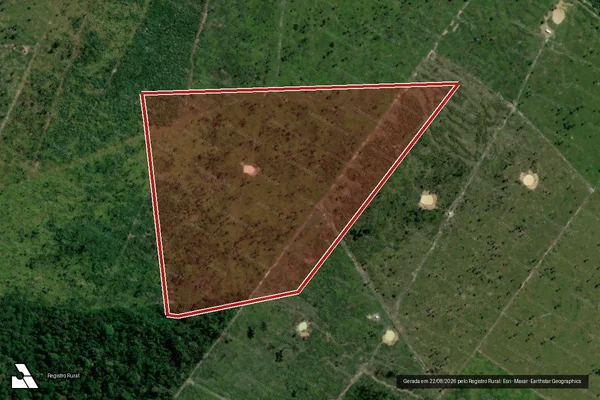 Imagem de satélite de Infração Ambiental em Porto Velho - RO