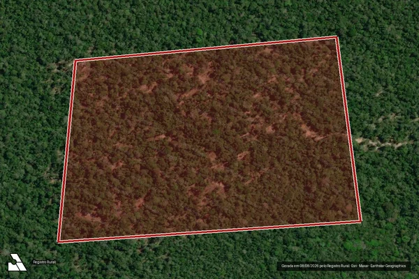 Imagem de satélite de Infração Ambiental em Rorainópolis - RR