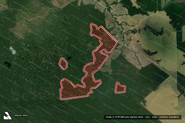 Imagem de satélite de Infração da Flora em Dom Eliseu - PA