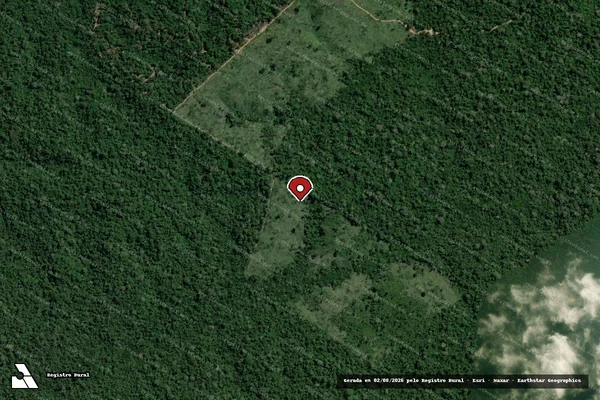 Imagem de satélite — Embargo IBAMA — Infração da Flora - Curitiba/PR
