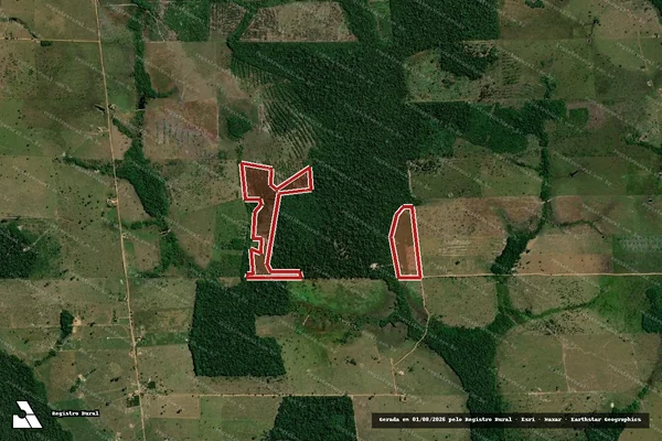 Imagem de satélite de Infração Ambiental em Seringueiras - RO