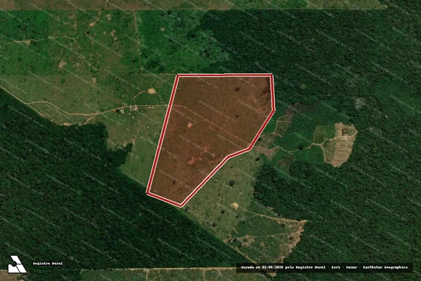 Imagem de satélite de Infração da Flora em Porto Velho - RO