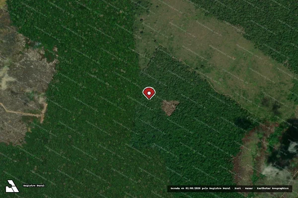Imagem de satélite de Infração Ambiental em Apuí - AM (marcador da localização)