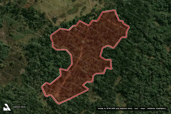 Imagem de satélite de Infração Ambiental em Pinhão - PR