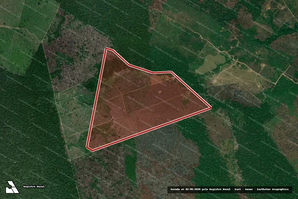 Imagem de satélite de Infração da Flora em Lábrea - AM