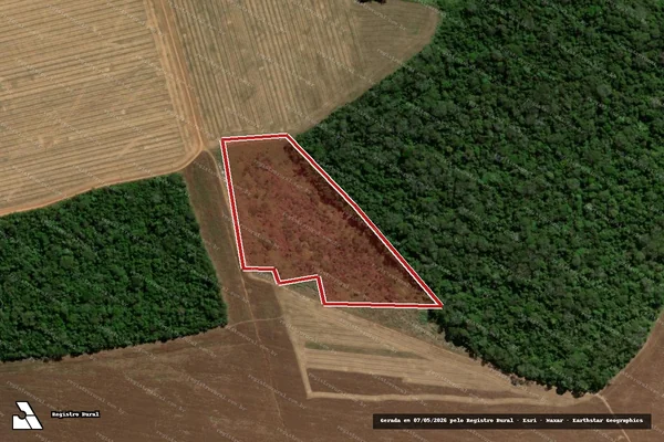 Imagem de satélite de Infração da Flora em Matupá - MT