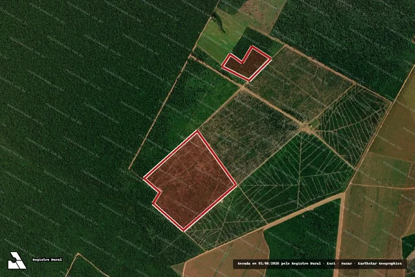 Imagem de satélite — Embargo IBAMA — Infração da Flora — União Do Sul/MT