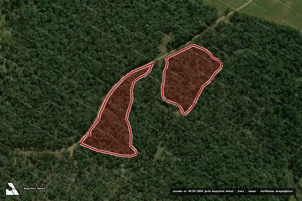 Imagem de satélite de Infração da Flora em Coronel Domingos Soares - PR