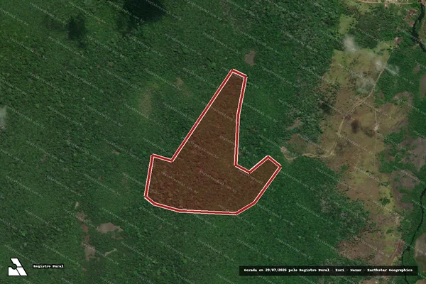 Imagem de satélite de Infração da Flora em Tartarugalzinho - AP