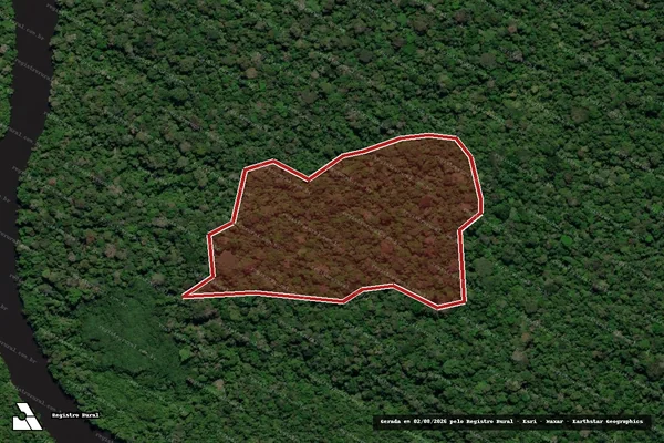 Imagem de satélite de Infração da Flora em Apuí - AM
