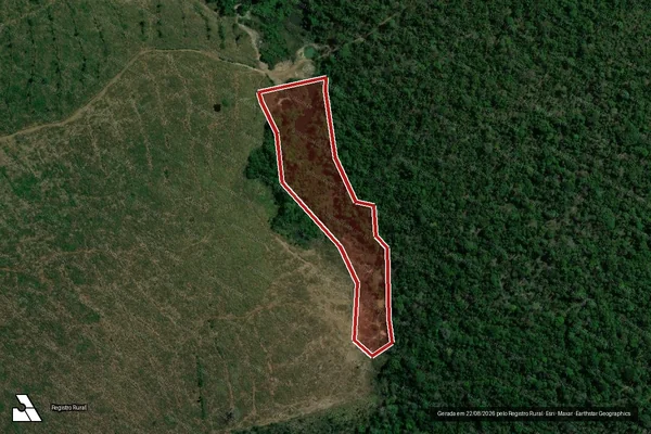 Imagem de satélite de Infração da Flora em Altamira - PA