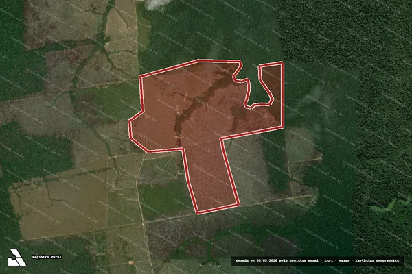 Imagem de satélite de Infração da Flora em Boca do Acre - AM