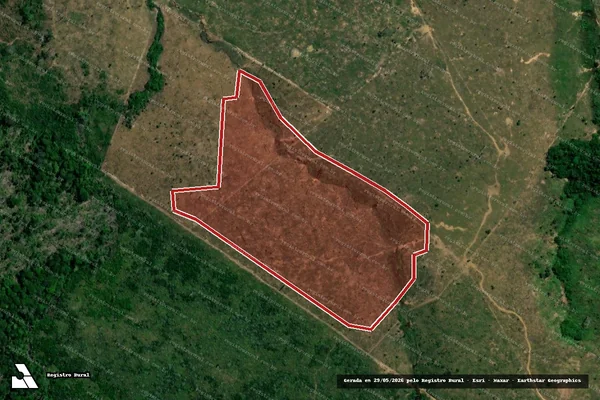Imagem de satélite — Embargo IBAMA — Infração Ambiental - Apuí/AM
