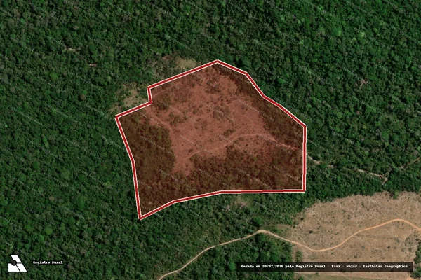 Imagem de satélite de Infração Ambiental em Novo Progresso - PA