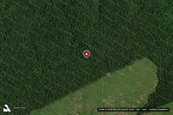 Imagem de satélite de Infração Ambiental em Maués - AM (marcador da localização)