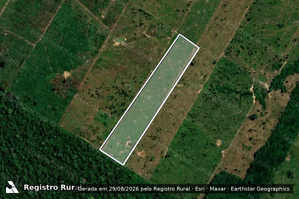 Imagem de satélite de Infração da Flora em Porto Velho - RO