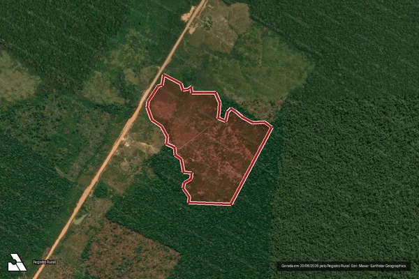 Imagem de satélite de Infração Ambiental em Manicoré - AM