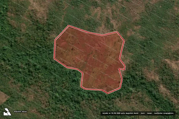 Imagem de satélite — Embargo IBAMA — Infração da Flora — Montes Altos/MA