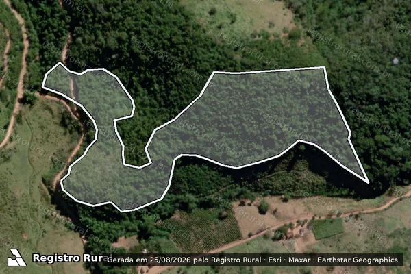 Imagem de satélite — Embargo IBAMA — Infração da Flora — Água Boa/MG
