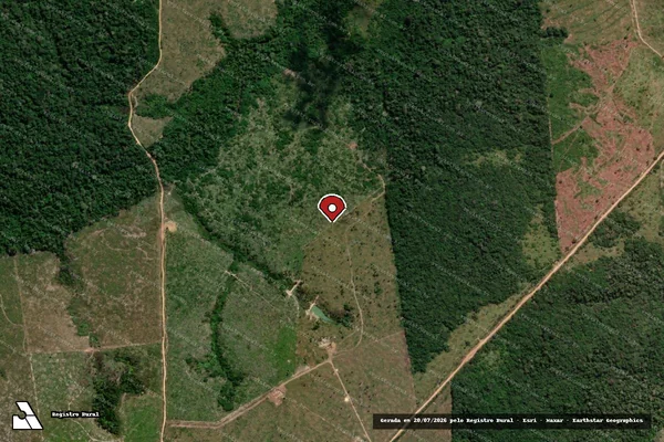 Imagem de satélite de Infração da Flora em Colniza - MT (marcador da localização)