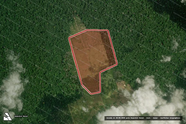 Imagem de satélite de Infração Ambiental em Brasil Novo - PA