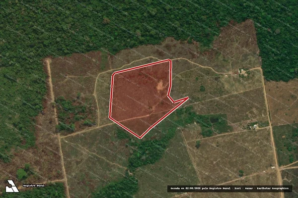 Imagem de satélite de Infração da Flora em Novo Progresso - PA