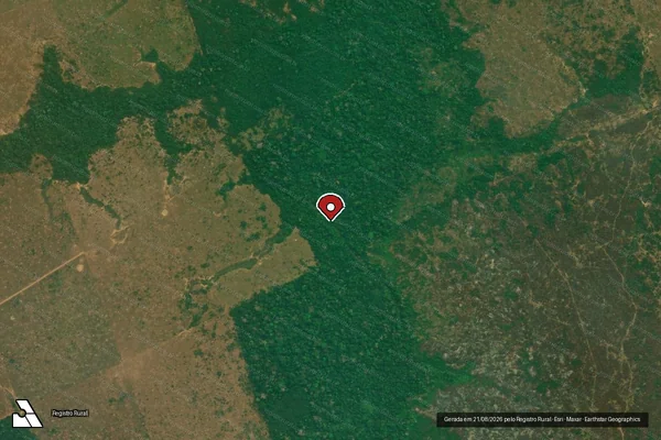 Imagem de satélite de Infração da Flora em Boca do Acre - AM (marcador da localização)