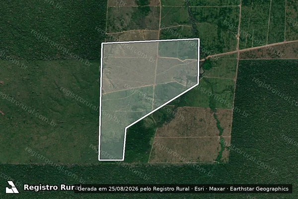 Imagem de satélite de Infração da Flora em Lábrea - AM