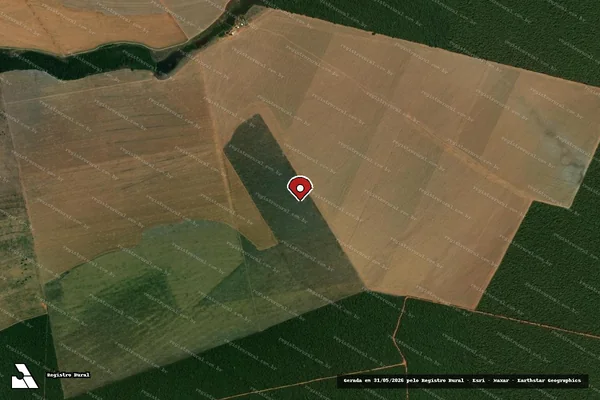 Imagem de satélite de Infração da Flora em Canarana - MT (marcador da localização)
