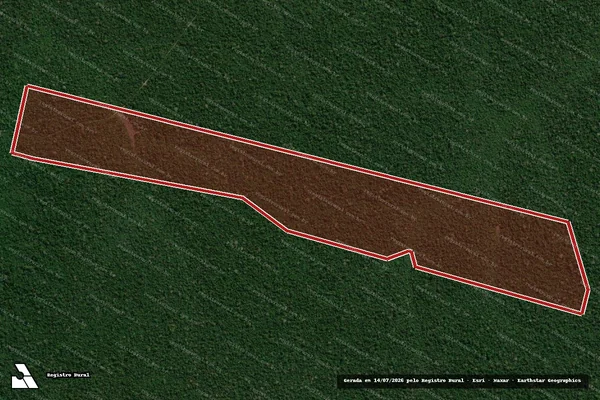 Imagem de satélite de Infração da Flora em Machadinho D'Oeste - RO