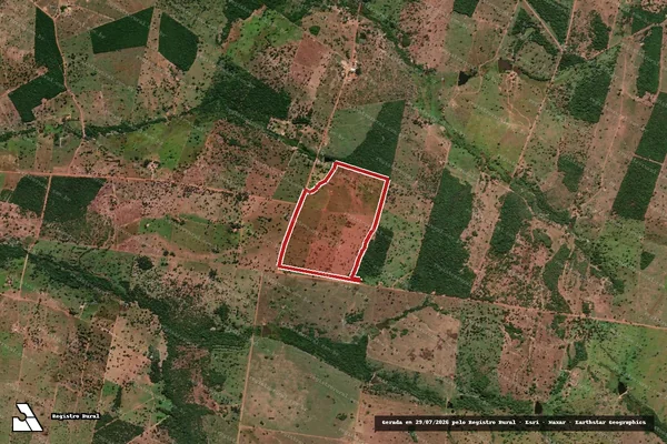 Imagem de satélite de Infração da Flora em Nova Crixás - GO